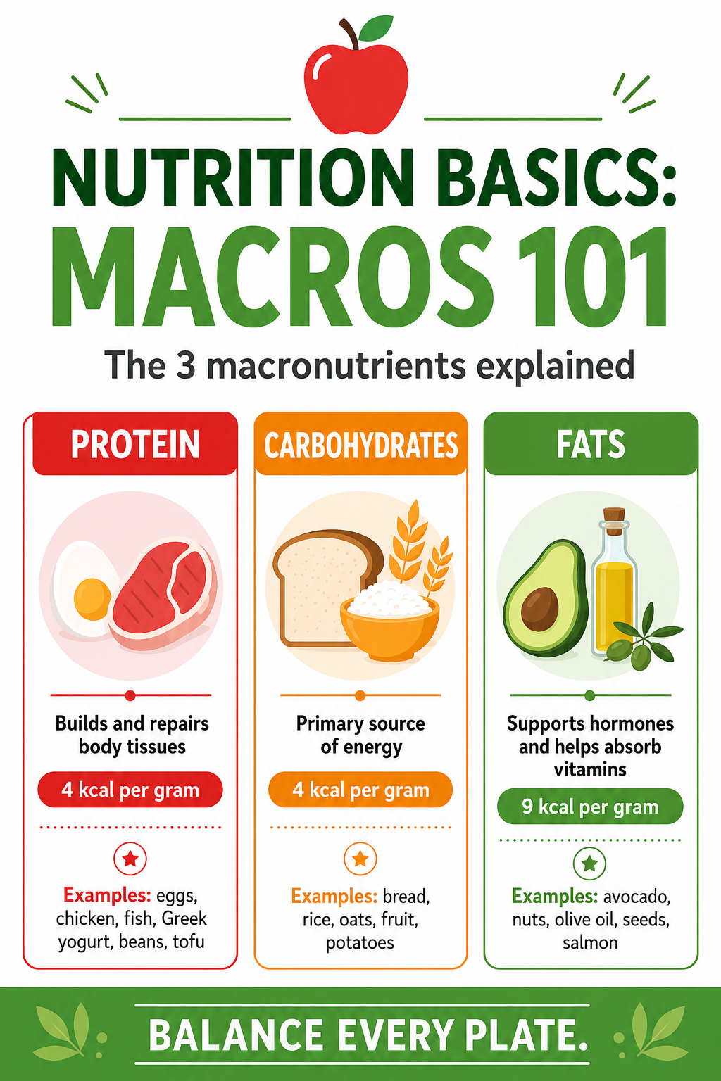 Pro Corporate Infographic Makers — Macros 101