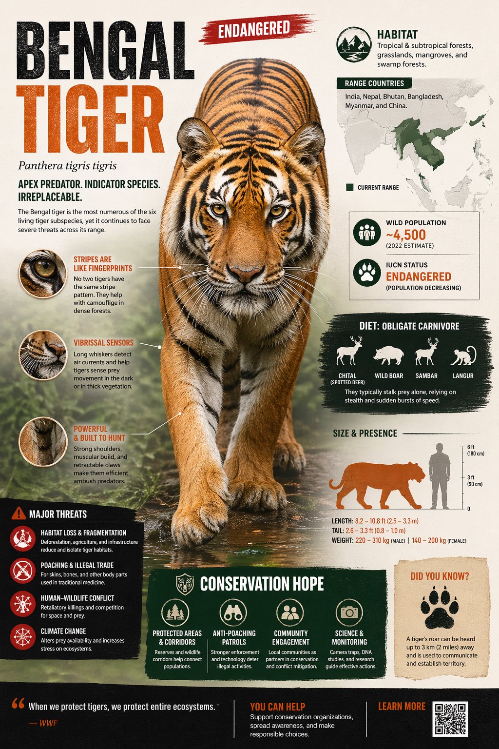 Endangered animal infographic example from an attributed GPT Image 2 X prompt share