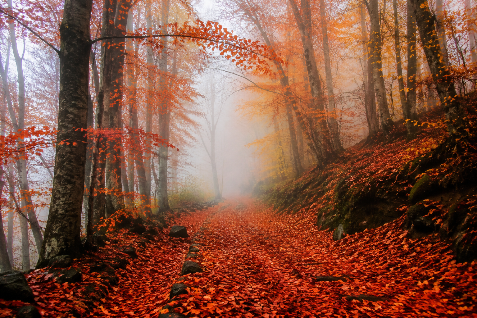 desktop-backgrounds-5-3
