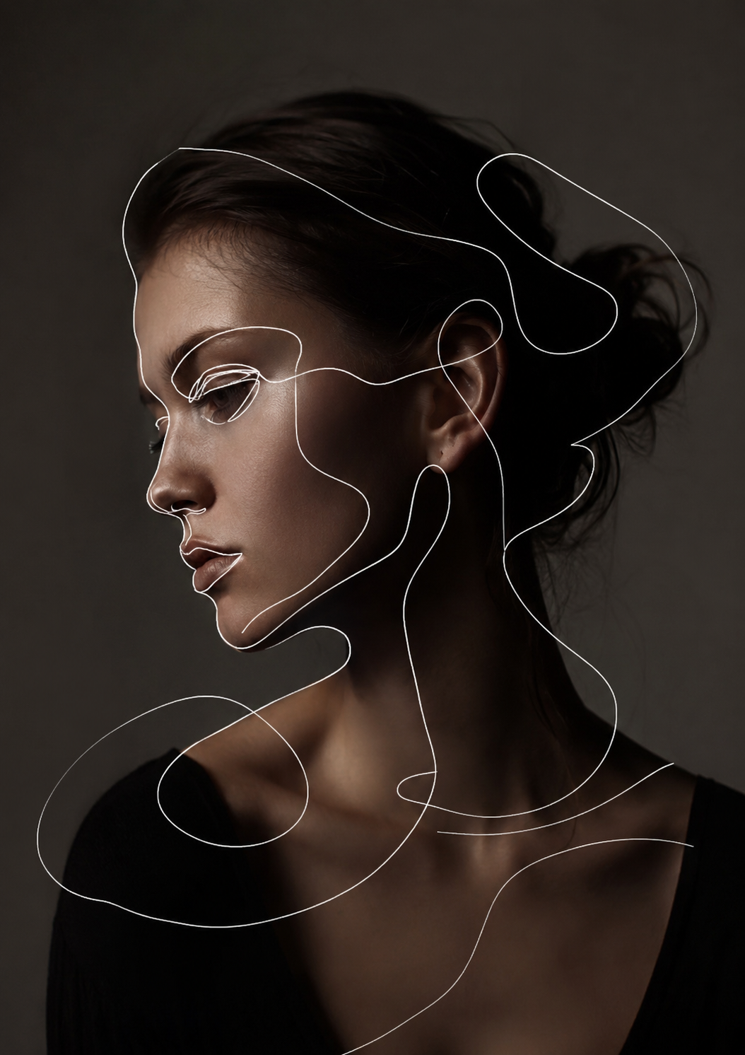 intricate-continuous-line-art-illustrations-1
