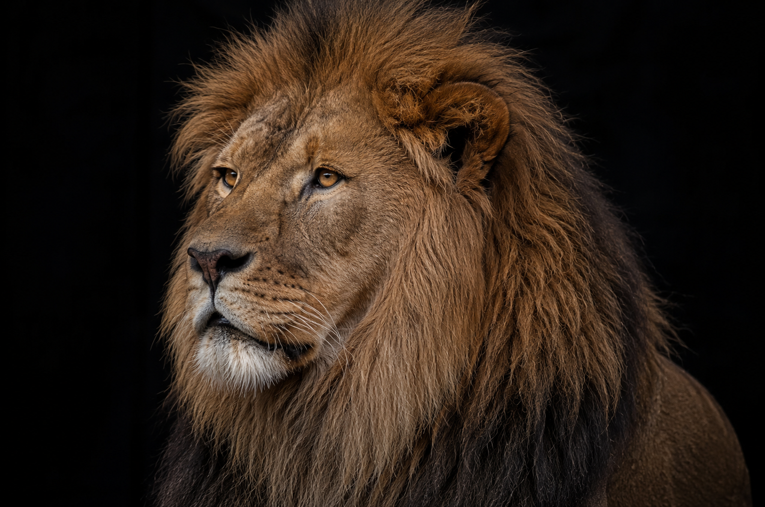 national-geographic-style-realistic-phots-1