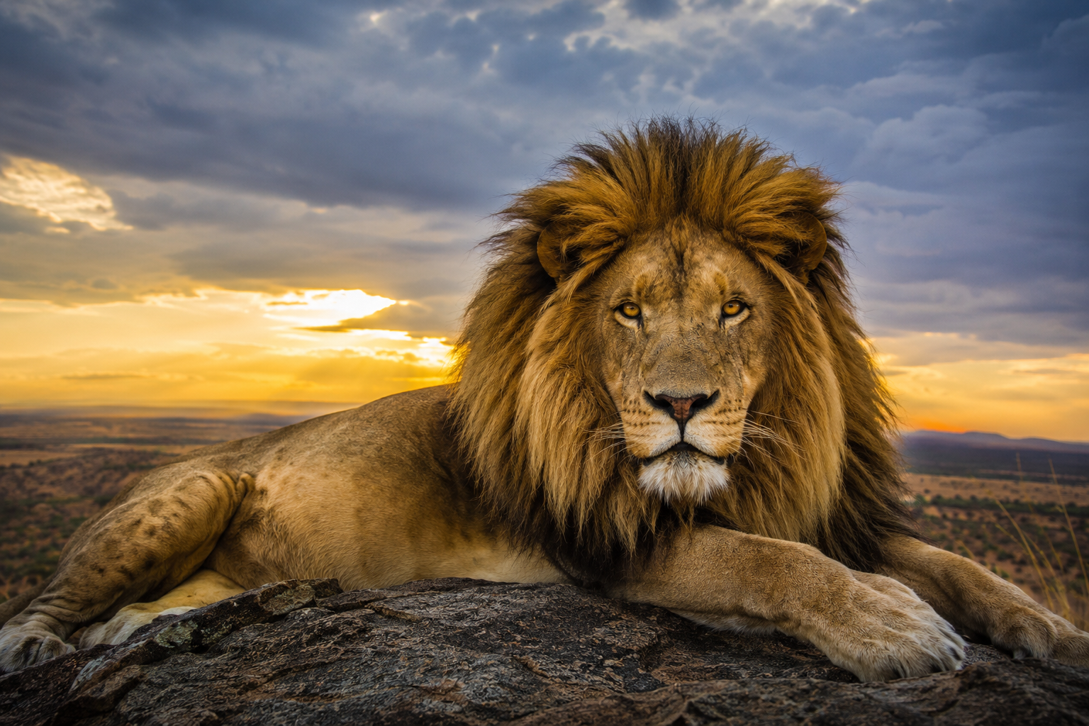 national-geographic-style-realistic-phots-3