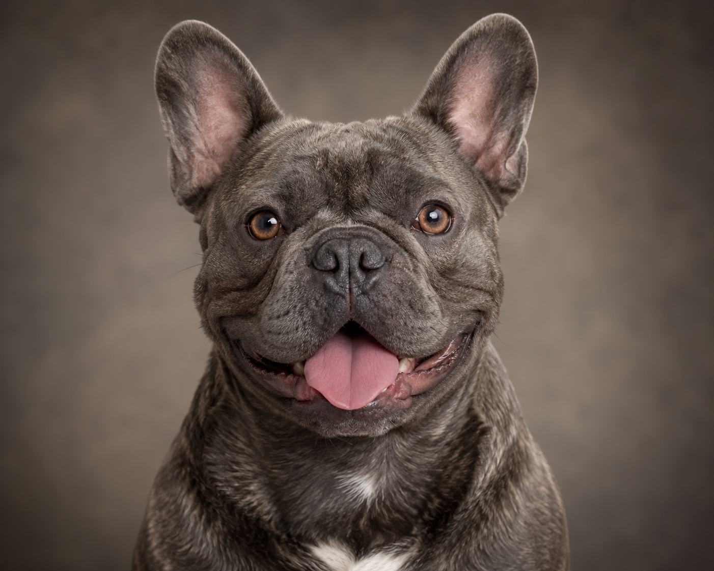portraits-for-your-pets-2-3